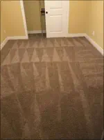 Clean Carpets