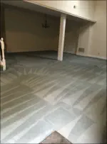 Clean Carpets