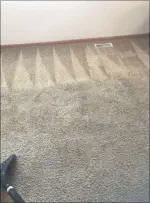 Clean Carpets