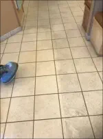 Clean Carpets