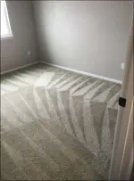 Clean Carpets