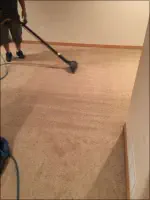 Clean Carpets