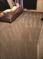 Clean Carpets